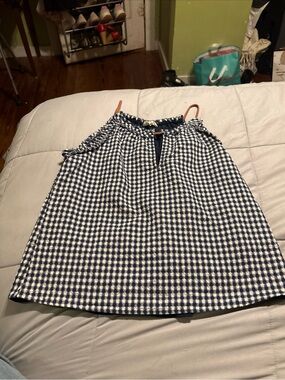 Freeway Blue Gingham Spaghetti Strap Blouse Lined Size Large